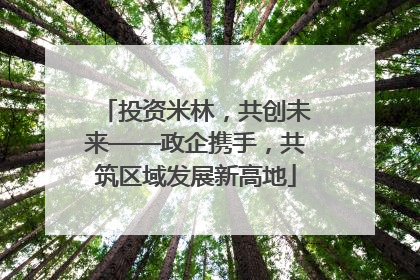 投资米林，共创未来——政企携手，共筑区域发展新高地