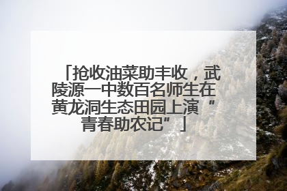 抢收油菜助丰收，武陵源一中数百名师生在黄龙洞生态田园上演“青春助农记”