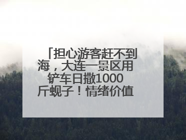 担心游客赶不到海，大连一景区用铲车日撒1000斤蚬子！情绪价值拉满！