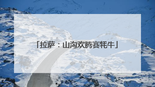 拉萨：山沟欢腾赛牦牛