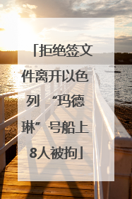 拒绝签文件离开以色列 “玛德琳”号船上8人被拘