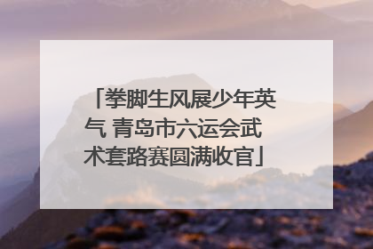 拳脚生风展少年英气 青岛市六运会武术套路赛圆满收官