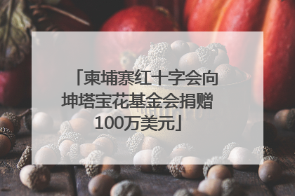 柬埔寨红十字会向坤塔宝花基金会捐赠100万美元