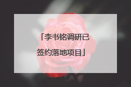 李书铭调研已签约落地项目