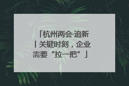 杭州两会·追新丨关键时刻，企业需要“拉一把”