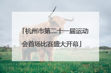 杭州市第二十一届运动会首场比赛盛大开幕