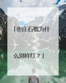 枣庄石榴为什么别样红？