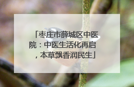 枣庄市薛城区中医院：中医生活化再启，本草飘香润民生