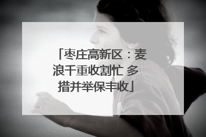枣庄高新区：麦浪千重收割忙 多措并举保丰收