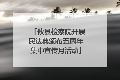 攸县检察院开展民法典颁布五周年集中宣传月活动