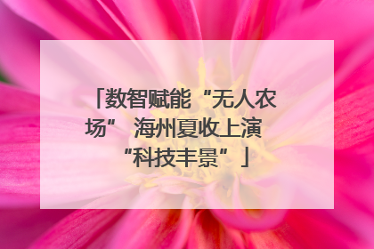 数智赋能“无人农场” 海州夏收上演“科技丰景”