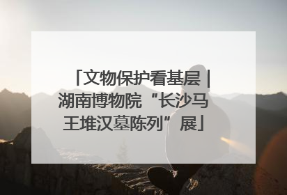 文物保护看基层｜湖南博物院“长沙马王堆汉墓陈列”展