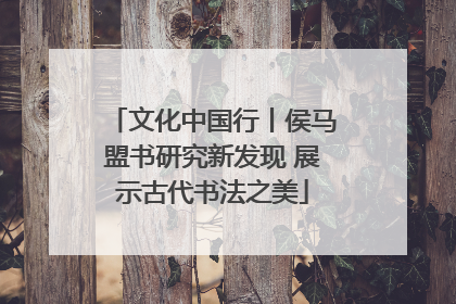 文化中国行丨侯马盟书研究新发现 展示古代书法之美