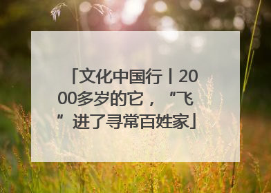 文化中国行丨2000多岁的它，“飞”进了寻常百姓家