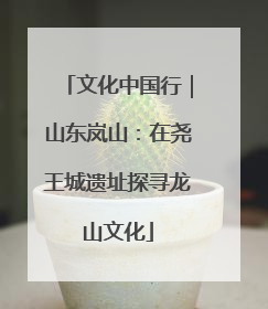 文化中国行｜山东岚山：在尧王城遗址探寻龙山文化