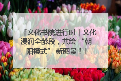 文化书院进行时｜文化浸润全龄段，共绘 “朝阳模式” 新图景！