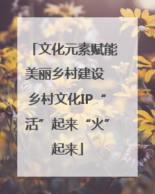 文化元素赋能美丽乡村建设 乡村文化IP“活”起来“火”起来