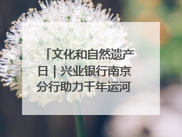 文化和自然遗产日｜兴业银行南京分行助力千年运河焕新出彩
