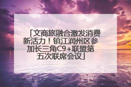 文商旅融合激发消费新活力！镇江润州区参加长三角C9+联盟第五次联席会议