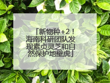 新物种+2！海南科研团队发现素贞灵芝和自然保护地壁虎