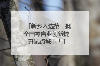 新乡入选第一批全国零售业创新提升试点城市！
