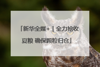 新华全媒+｜全力抢收夏粮 确保颗粒归仓