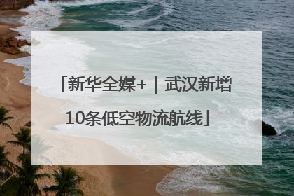 新华全媒+｜武汉新增10条低空物流航线