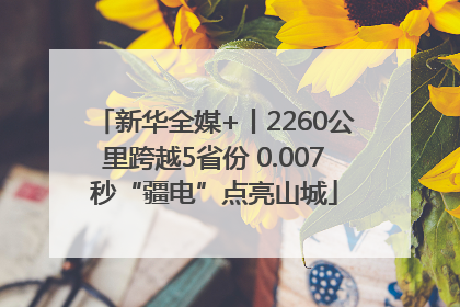 新华全媒+丨2260公里跨越5省份 0.007秒“疆电”点亮山城