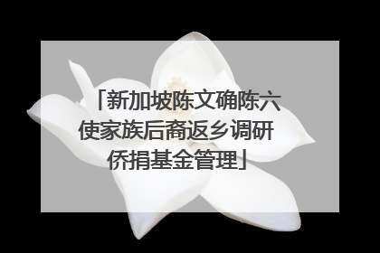 新加坡陈文确陈六使家族后裔返乡调研侨捐基金管理