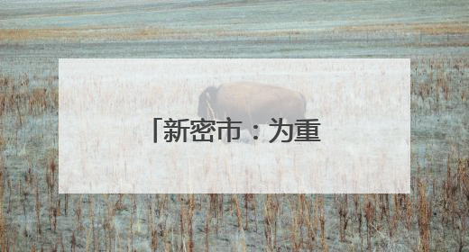 新密市：为重点项目建设按下“加速键”