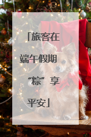 旅客在端午假期“粽”享平安
