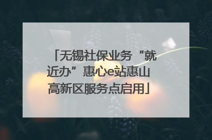 无锡社保业务“就近办”惠心e站惠山高新区服务点启用