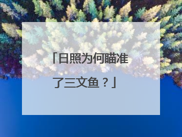 日照为何瞄准了三文鱼？