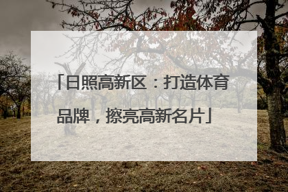 日照高新区：打造体育品牌，擦亮高新名片