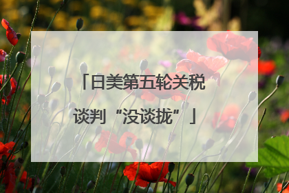 日美第五轮关税谈判“没谈拢”