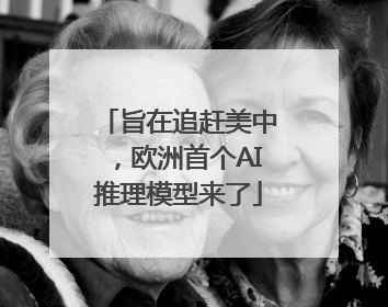 旨在追赶美中，欧洲首个AI推理模型来了