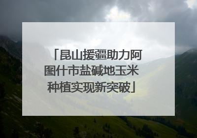 昆山援疆助力阿图什市盐碱地玉米种植实现新突破
