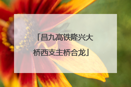 昌九高铁隆兴大桥西支主桥合龙