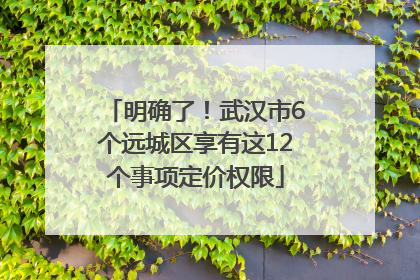 明确了！武汉市6个远城区享有这12个事项定价权限