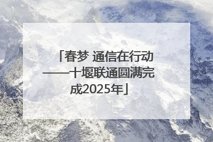 春梦 通信在行动——十堰联通圆满完成2025年