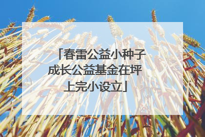 春雷公益小种子成长公益基金在坪上完小设立