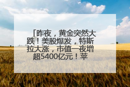昨夜，黄金突然大跌！美股爆发，特斯拉大涨，市值一夜增超5400亿元！苹果传来大消息