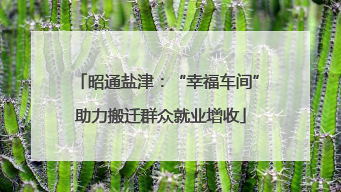 昭通盐津：“幸福车间”助力搬迁群众就业增收