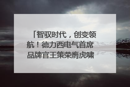 智驭时代，创变领航！德力西电气首席品牌官王策荣膺虎啸奖年度品牌人物