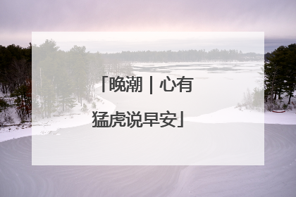晚潮｜心有猛虎说早安