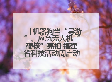 机器狗当“导游”、应急无人机“硬核”亮相 福建省科技活动周启动 百余项特色活动酷炫来袭