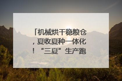机械烘干稳粮仓，夏收夏种一体化！“三夏”生产跑出加速度｜麦报