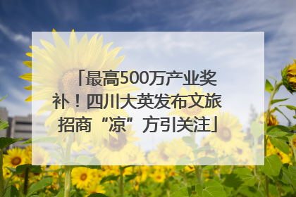 最高500万产业奖补！四川大英发布文旅招商“凉”方引关注