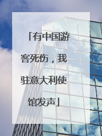 有中国游客死伤，我驻意大利使馆发声