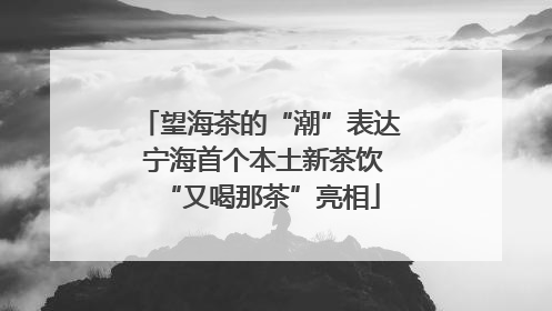 望海茶的“潮”表达 宁海首个本土新茶饮“又喝那茶”亮相